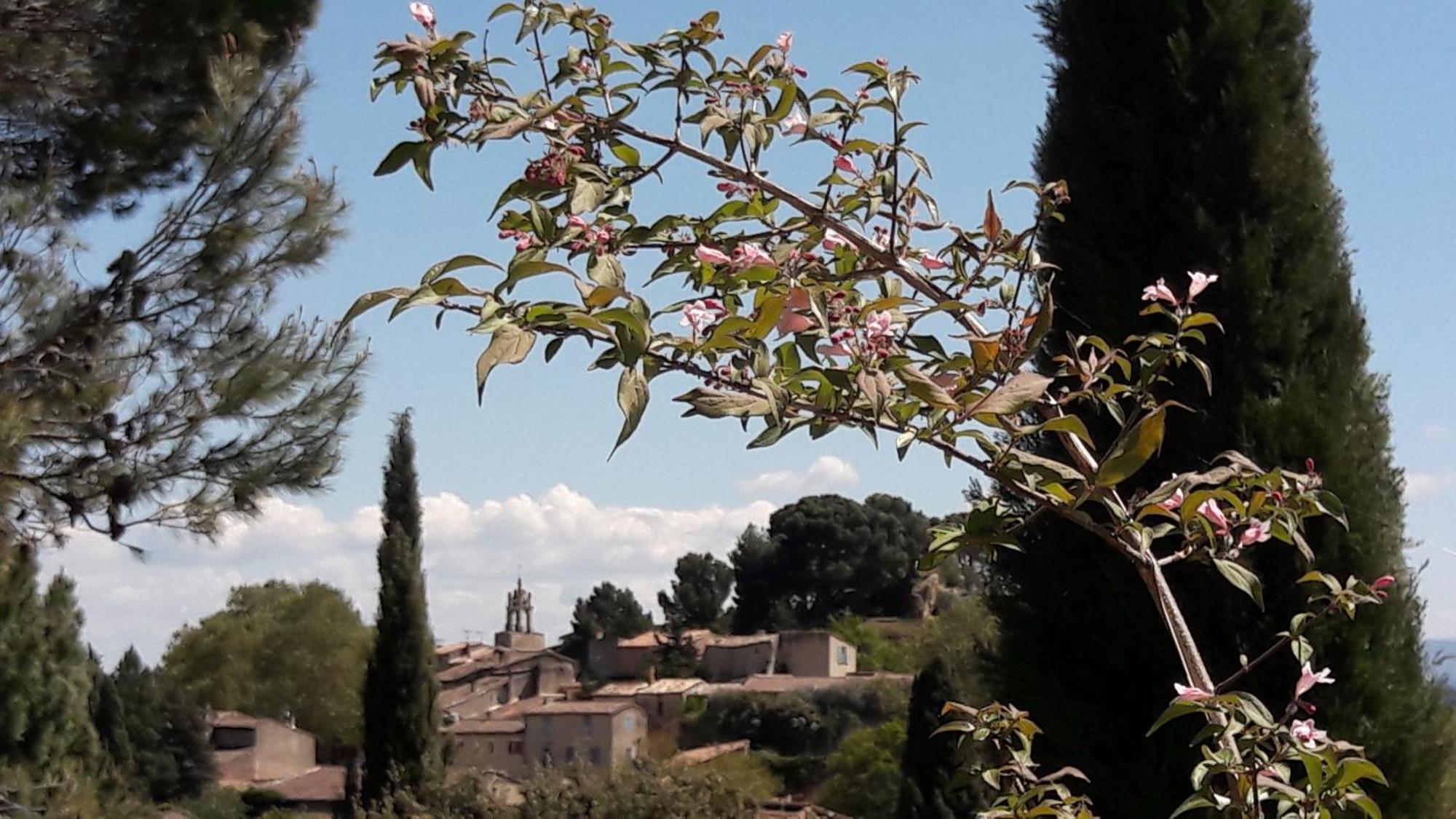 Les 3 Saisons Bed & Breakfast Cucuron Dış mekan fotoğraf