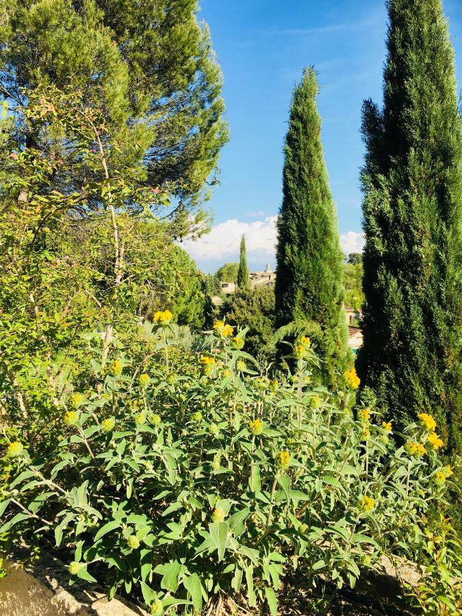 Les 3 Saisons Bed & Breakfast Cucuron Dış mekan fotoğraf